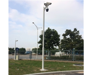 日喀则道路监控杆-LB-05