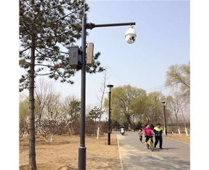 日喀则路灯监控杆-LB-03