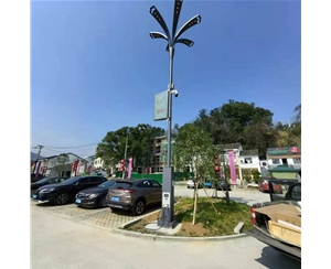 日喀则太阳能路灯安装价格